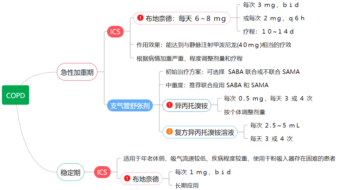 支气管扩张症急性加重期