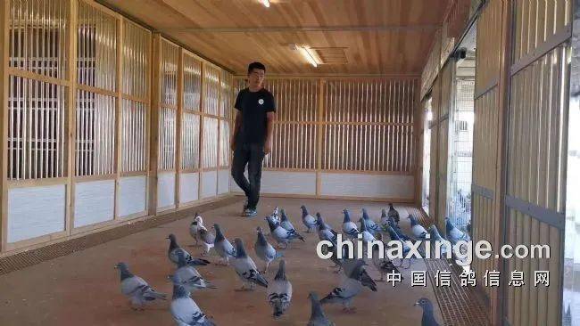 访山西洪剑团队清白为人正直传家