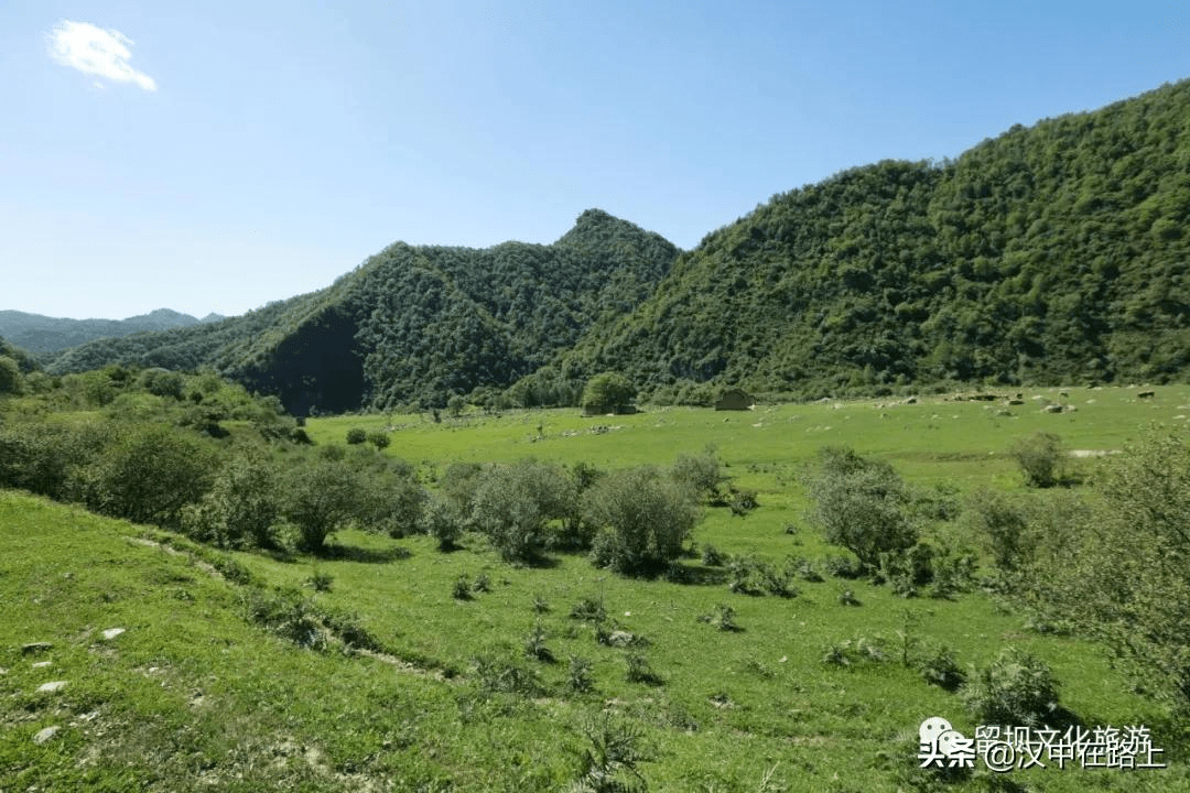 夏日美景不可辜负!带你云游汉中狮子沟牧场