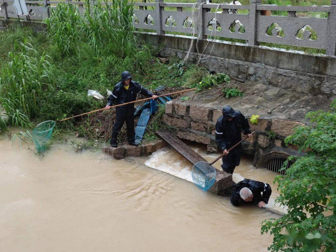 "站着捞不如下水里来得快,话音刚落,只见谢国坤"卟"地直接入水,先是