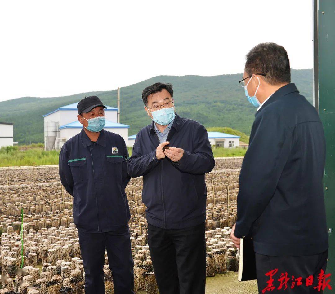 10日,11日,省委副书记,省长胡昌升深入伊春市友好区,乌翠区,金林区,大