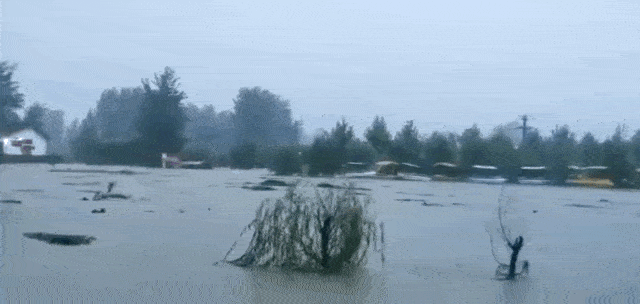 8月11日夜间至12日,湖北省襄阳市多地迎来暴雨天气,局部地区特大暴雨