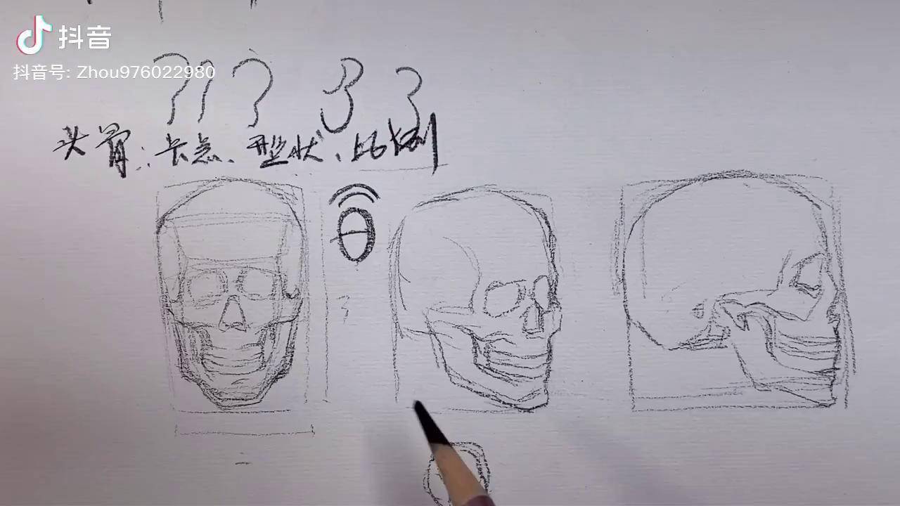 精讲速写11课头骨卡点解析绘画技巧运用课程