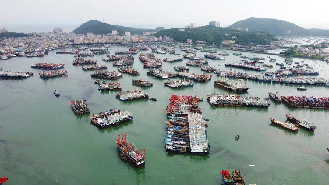明天开渔!广东阳江闸坡国家中心渔港开渔前一派繁忙