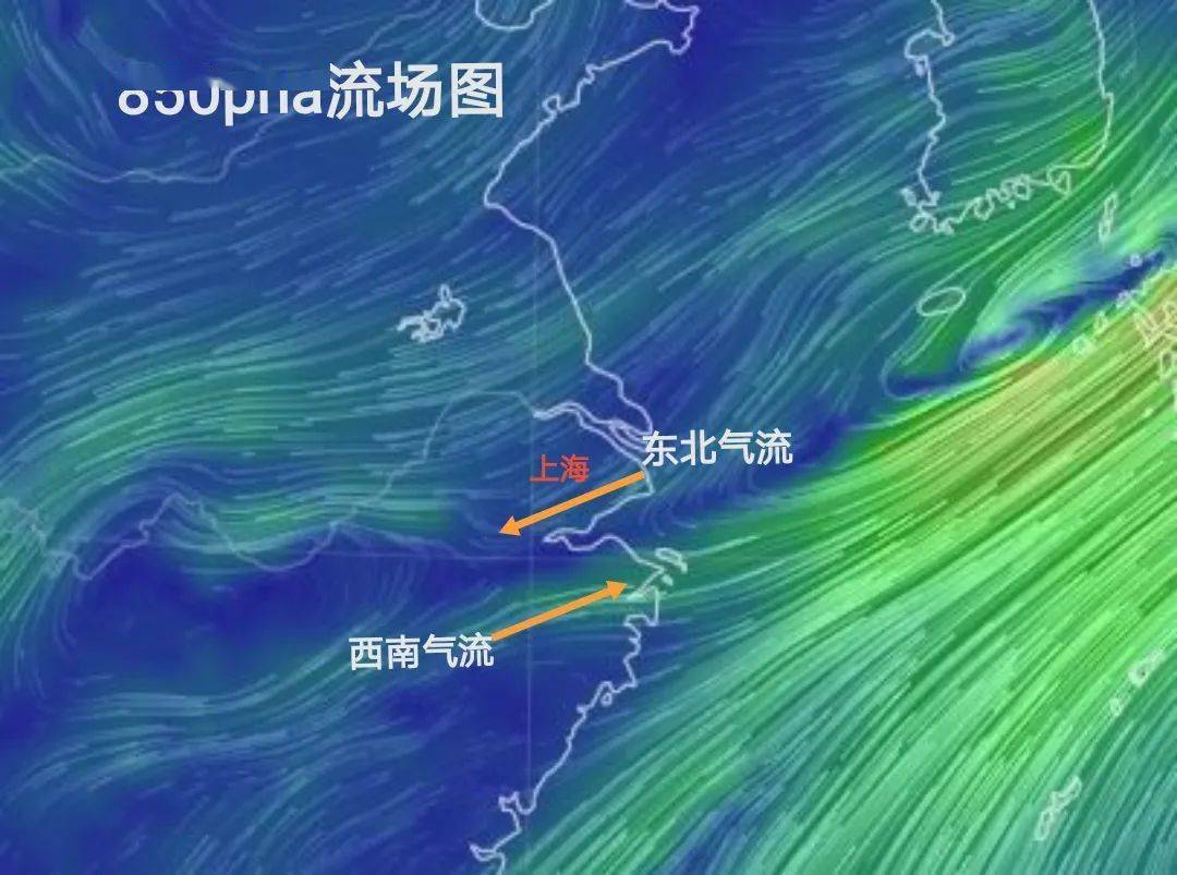 新一轮暴雨又来了!奉贤的好天气何时回归?