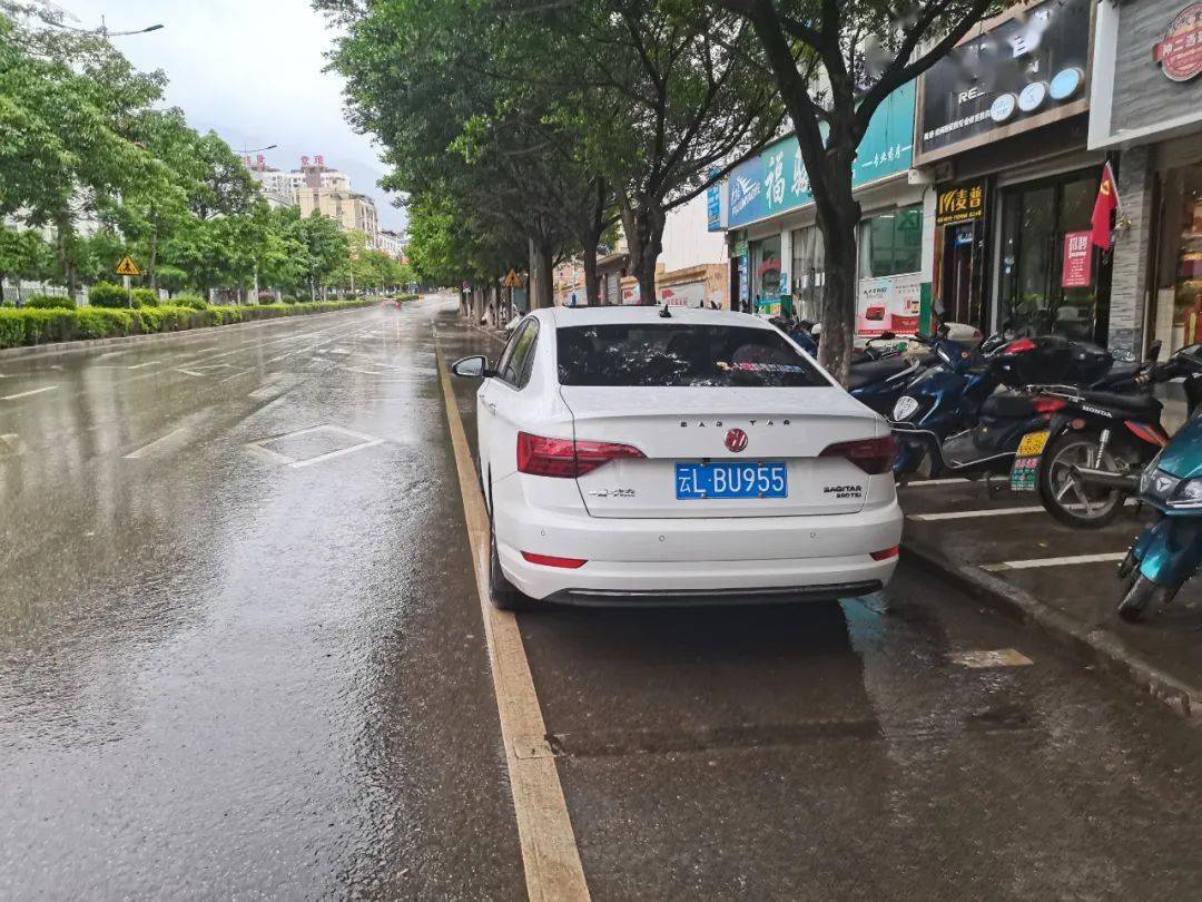 违法行为:机动车违反禁止停车标志指示停车的违法地点:巧家县堂琅