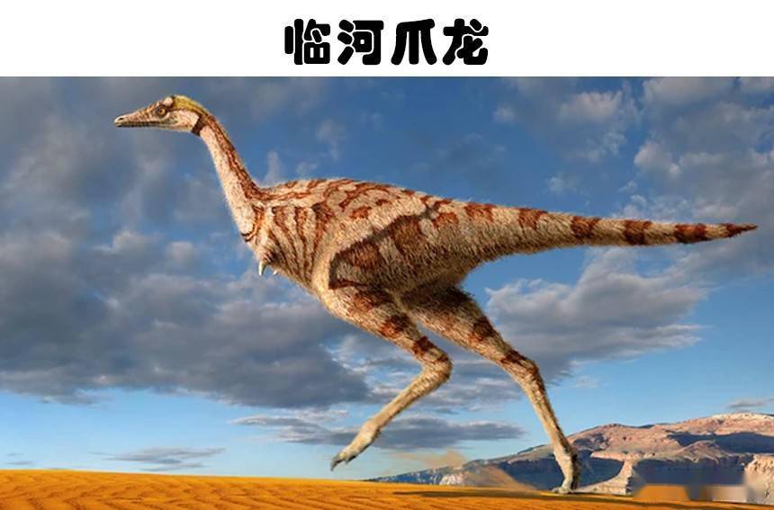已经被科学家发现的7个拥有奇怪特征的恐龙_食草动物