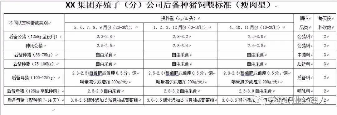 第二情期之后,后备猪可更换为哺乳母猪饲料,加大饲喂量.