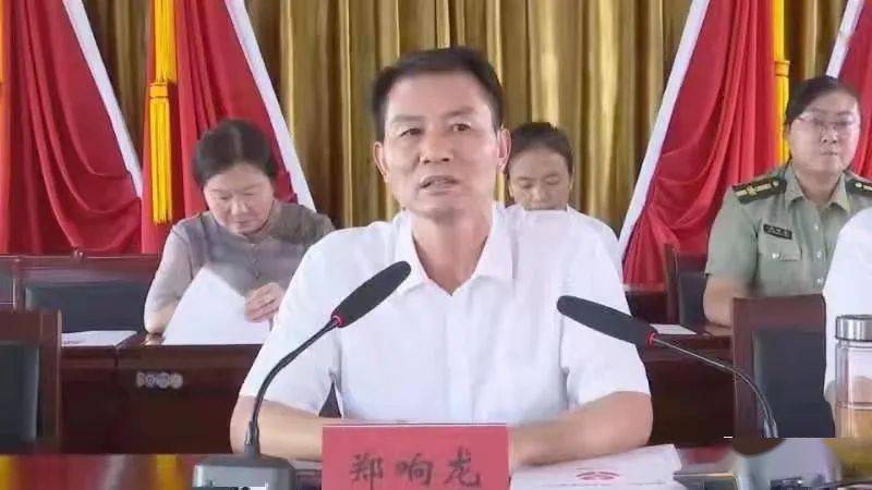 工委常务副主任胡炜,泾口乡党委书记樊庆华等泾口乡在家班子出席会议