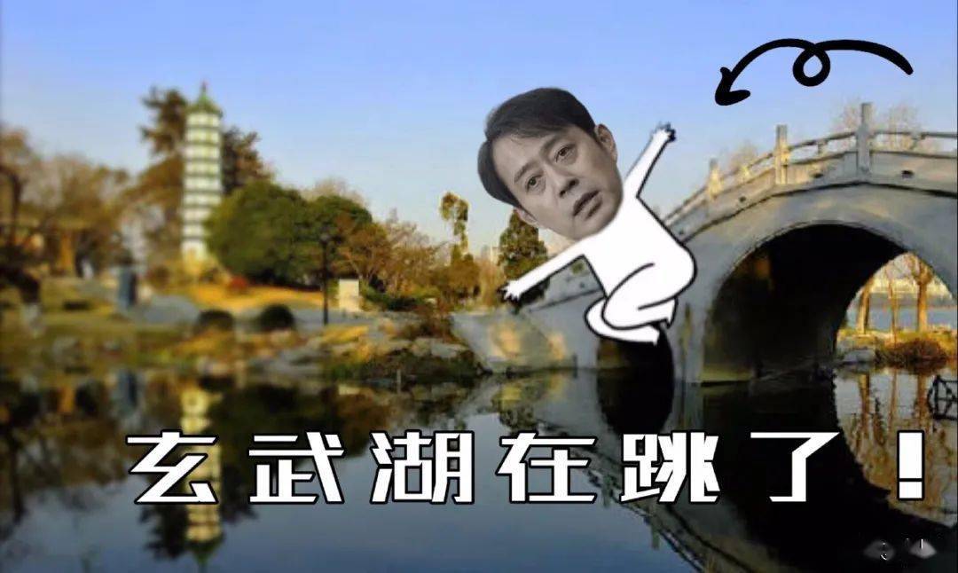 刘钧发"阿望跳湖"表情包