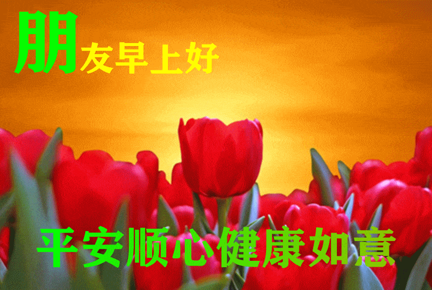 早安愉快表情包闪图 周二早安问候语录短信句子祝福朋友