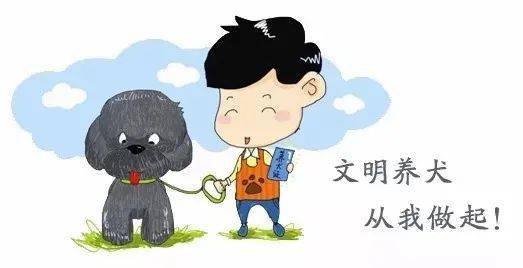 另外,虽然犬类被毒杀的原因各不相同,但是不文明养狗也是许多悲剧发生