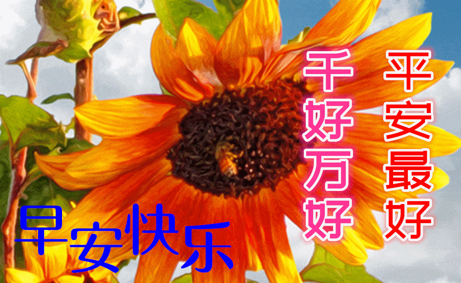 8月25日最漂亮早上好动态表情图片大全,早上好动图美图大全