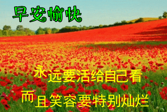 最漂亮早上好动态表情图片大全,早晨好动图美图大全