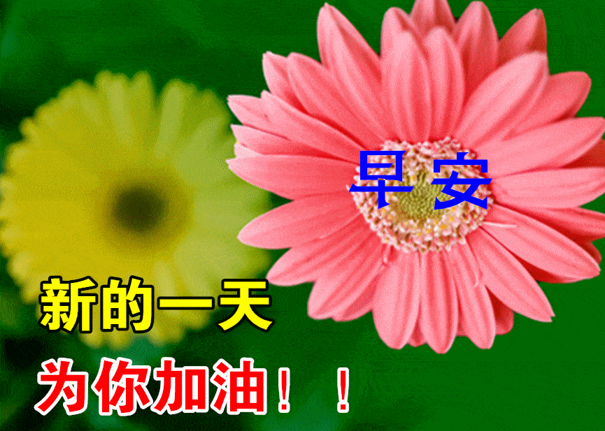 8月26日早上好动态表情图片大全,早晨好动图美图大全