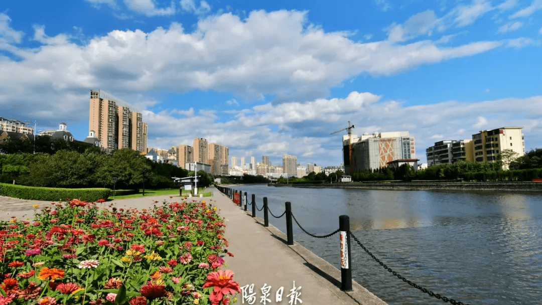 今天阳泉的"秋日蓝",刷爆朋友圈  8月25日,阳泉市晴空万里,蓝天白云与