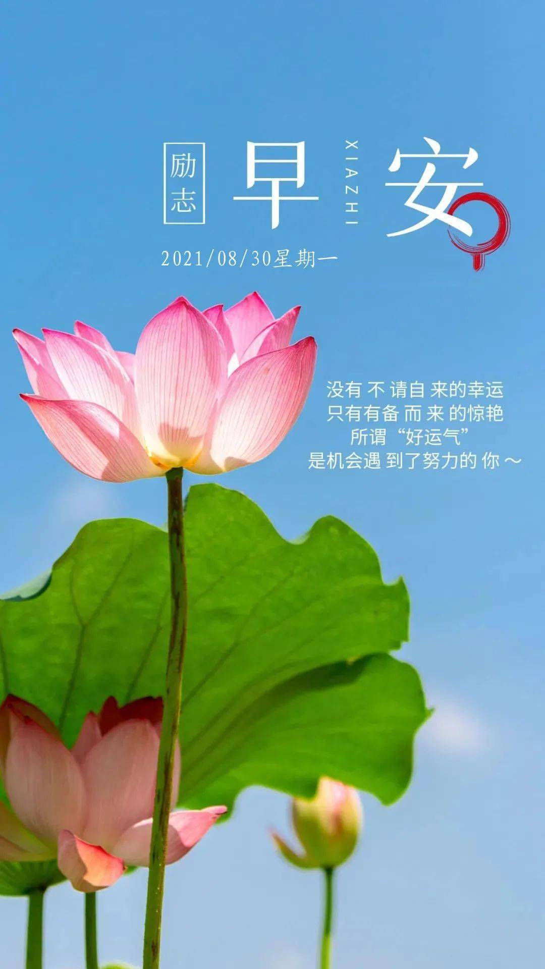 8月30日早安 新的一天,加油,做最棒的自己