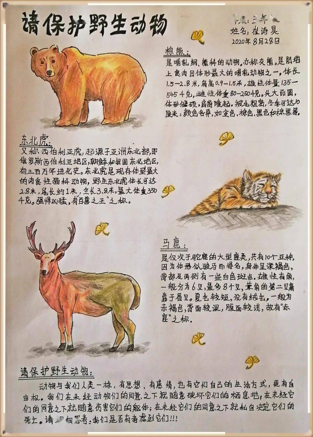 【生物多样性看山西】| 自然笔记大赛作品展(六)