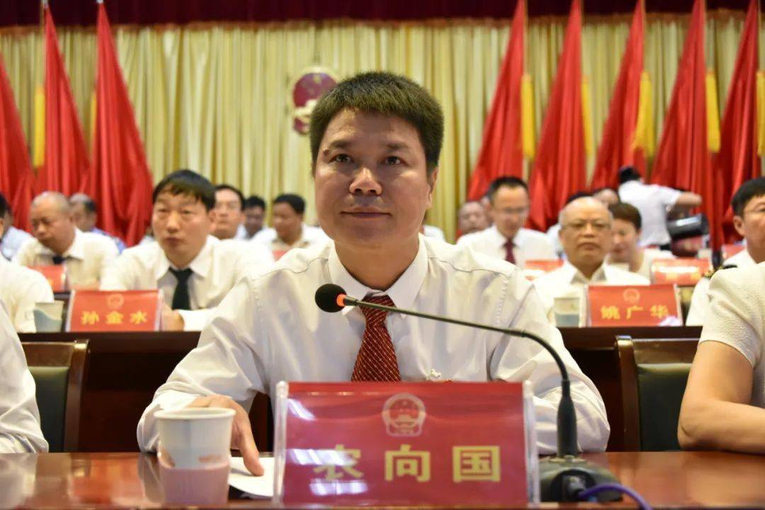 孙金水当选为宁明县第十七届人民政府县长.王耀雷主持大会.大会现场.