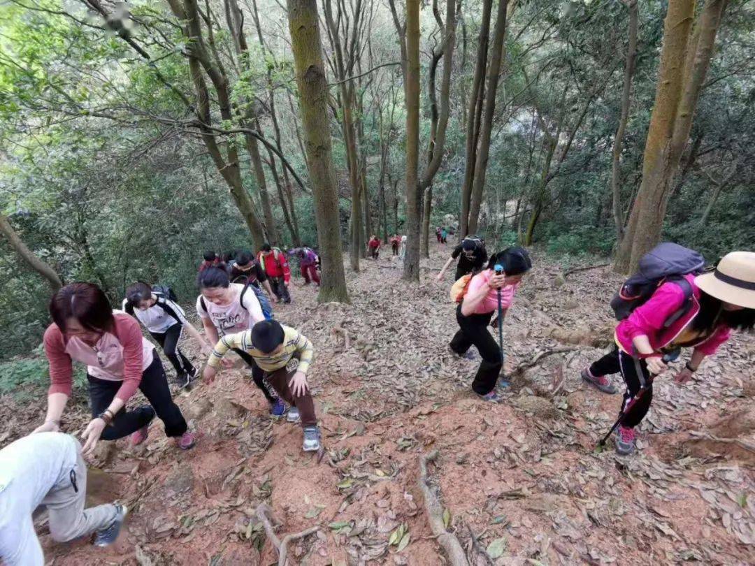 火凤线顾名思义是从火炉山到凤凰山的一条线路,徒步全程约12公里,大约