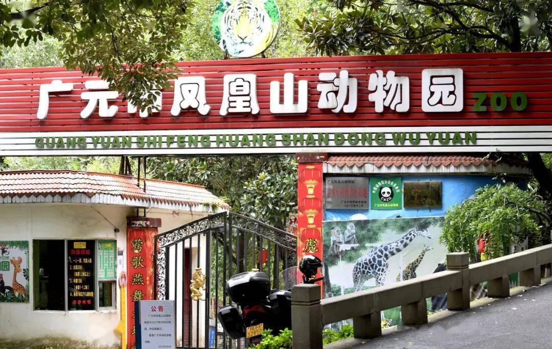 童年回忆没了!广元凤凰山动物园已正式闭园