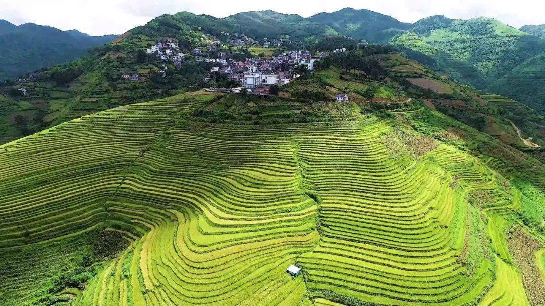 那耶梯田丰景如画