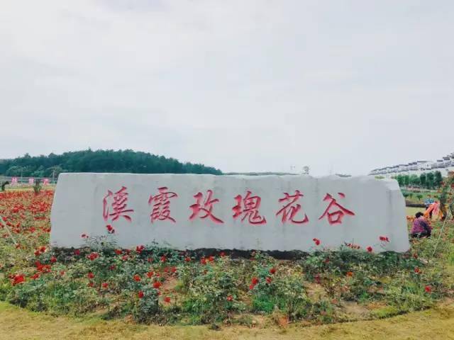但是承载着几代人记忆 在溪霞有一个火车餐厅 四节车厢组成 集美食赏