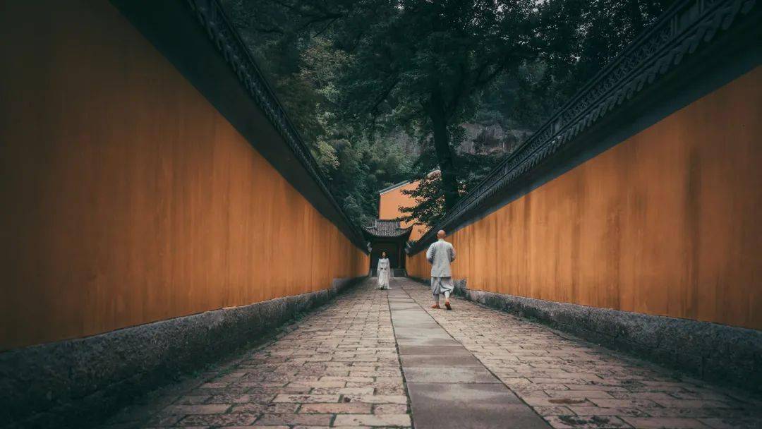 大佛寺景区教师节免门票快来周生如故杀青地走一走