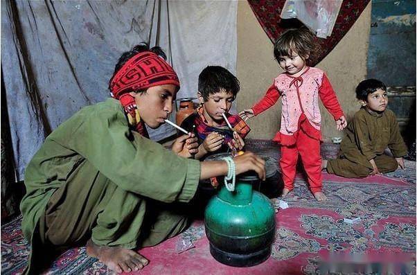 实拍阿富汗儿童采收罂粟果汁这些孩子把毒品当做零食吃