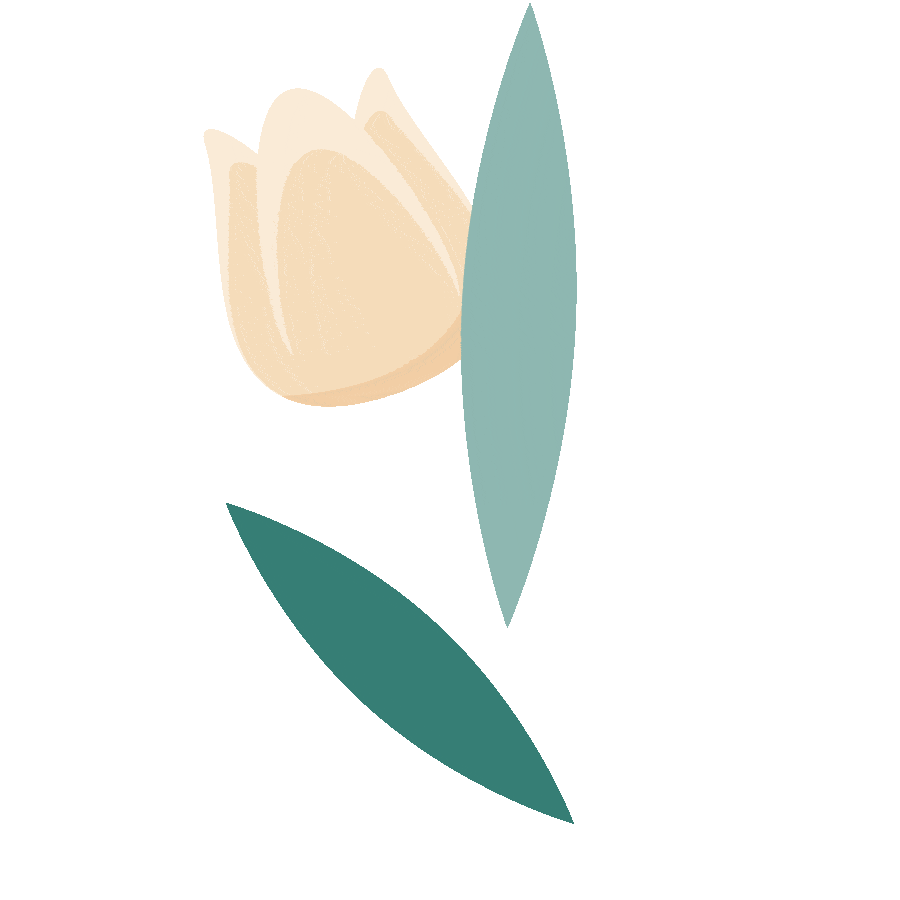 教师节快乐 | 三尺讲台 三千桃李