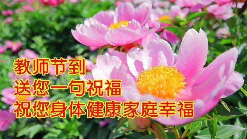 2021最新教师节祝福老师早安动态表情图片,早上好教师