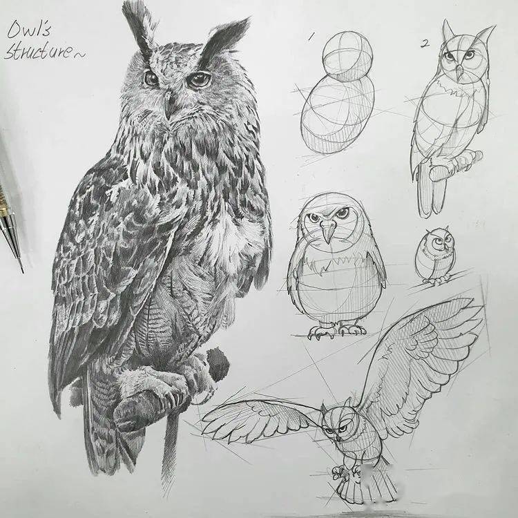 这样拆解画动物素描
