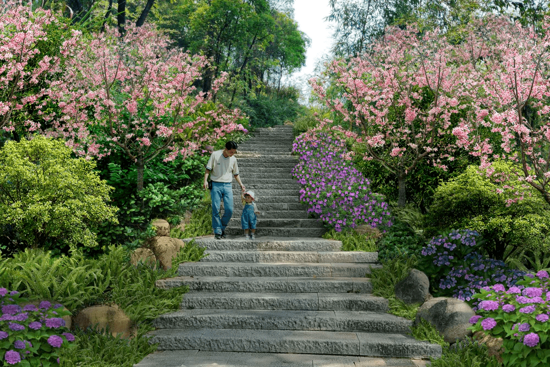 登山步道