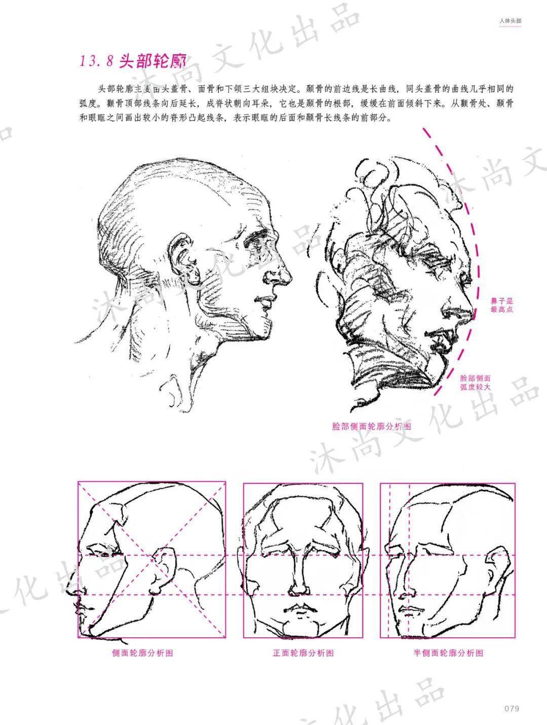 《伯里曼人体结构绘画教程》