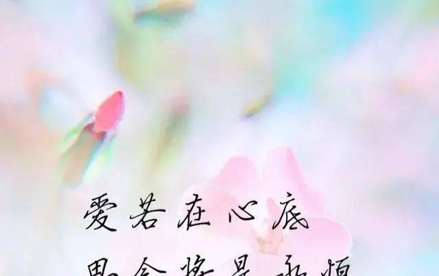 四  把爱一分为二 最远的部分 被阳光照耀 最潮湿的部分 埋藏心底
