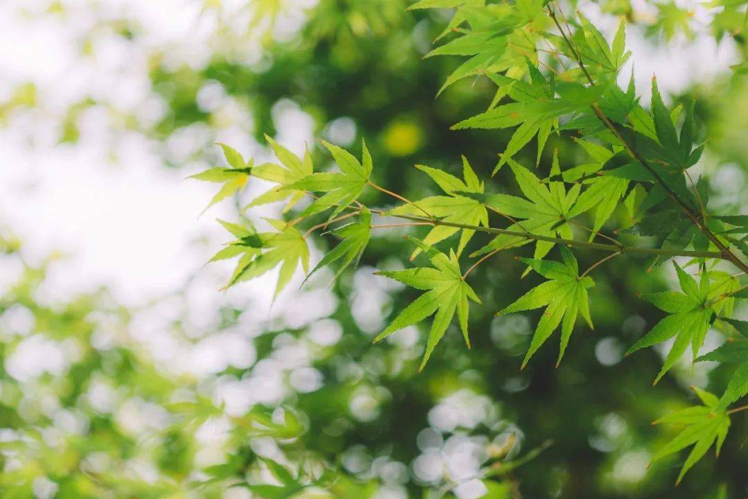 克制,是人生的一剂良药