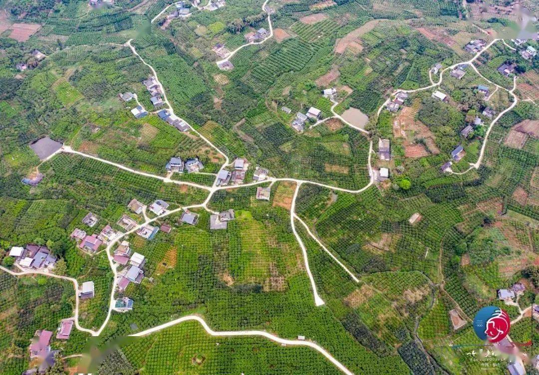 团结村,就是这样一个地方.