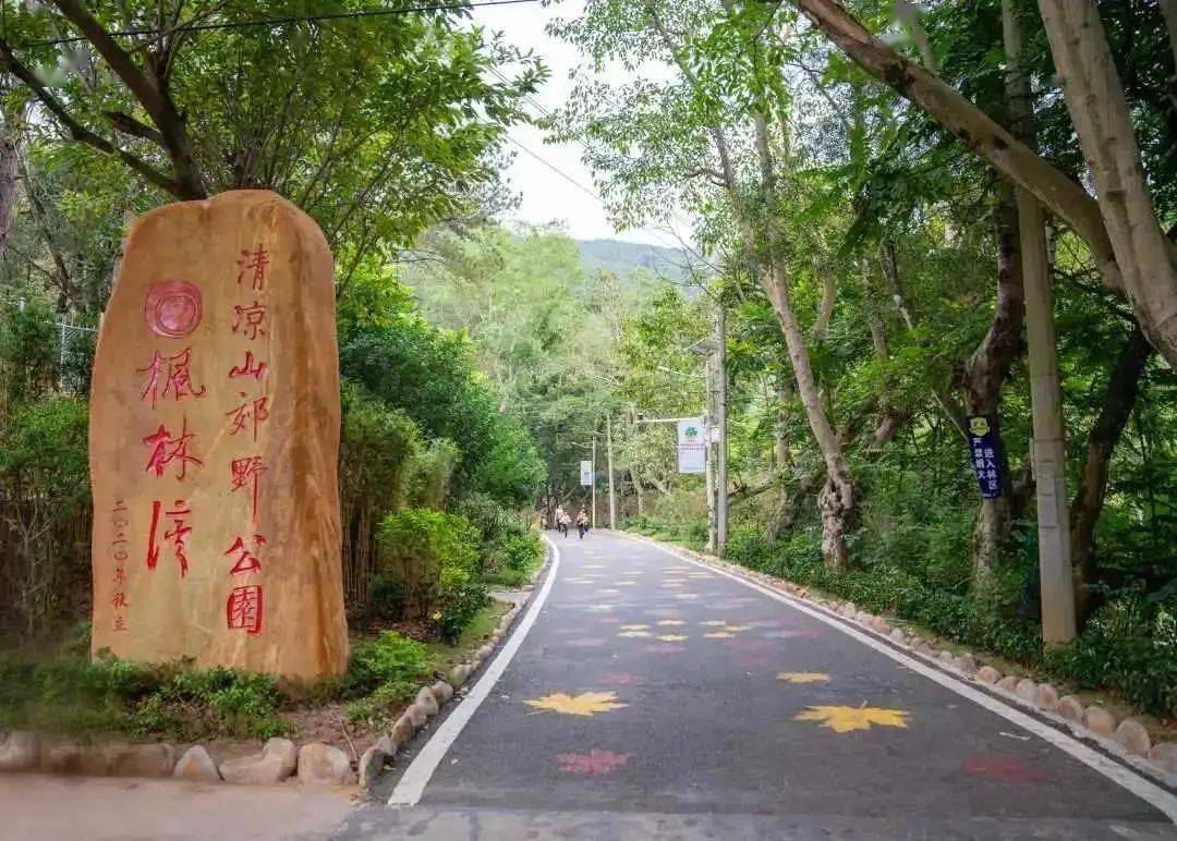 清凉山郊野公园(新梅互联 摄)