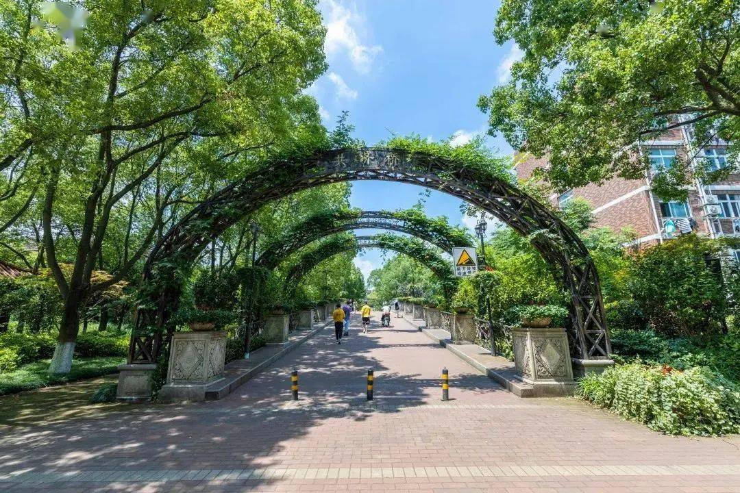 市中心的喧嚣在这里你可以远离再来看看回龙校区小碗仔们可以期待一下