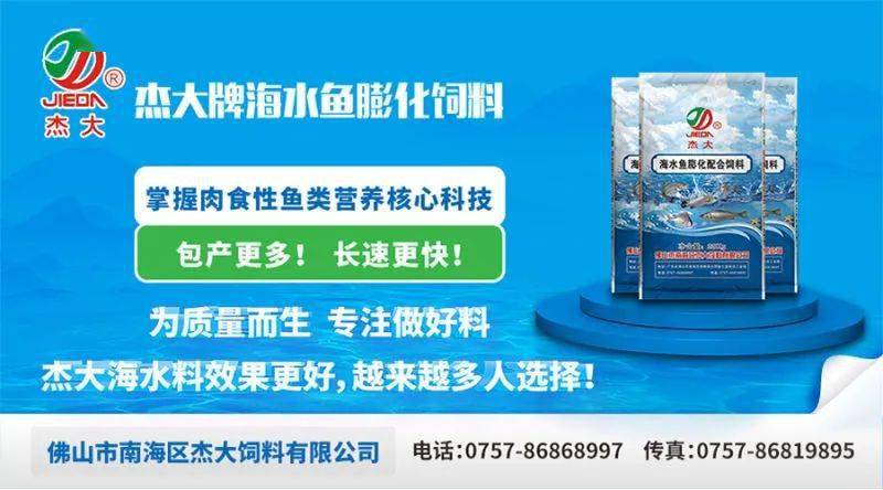 鱼量减少近一半,中秋将至需求上涨,广东大鱼价格坚挺 杰大饲料特约