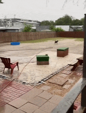 280_368竖版 竖屏gif 动态图 动图