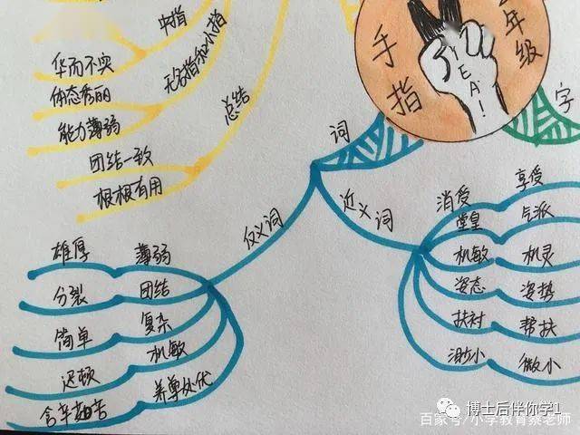 思维导图学课文五年级手指团结就是力量