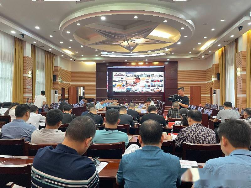 桃源县召开"戴帽工程"专项整治行动视频部署会议