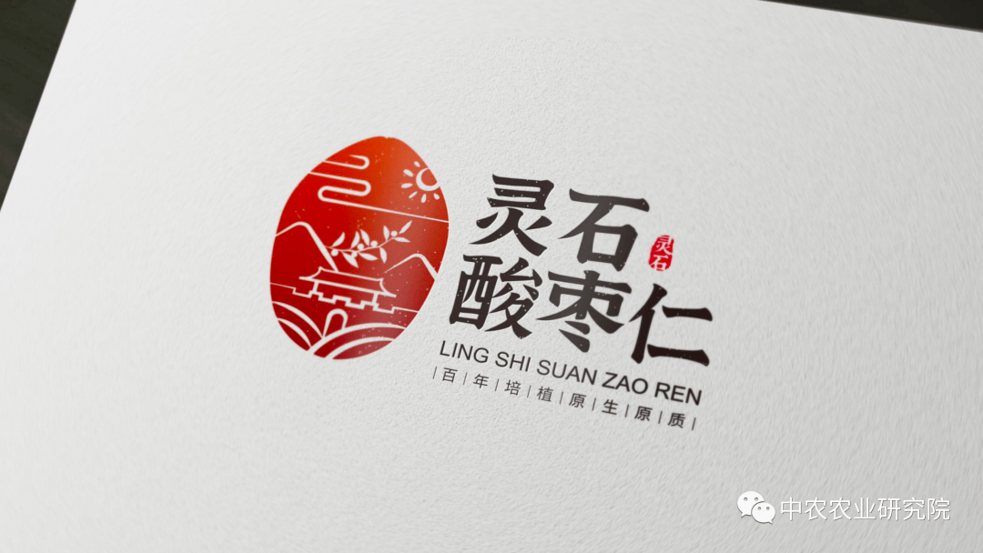 农产品地理标志灵石酸枣仁亮相2021中国山西农交会