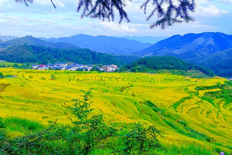 广东连山欧家梯田山明水秀,风景如画,规模宏大.