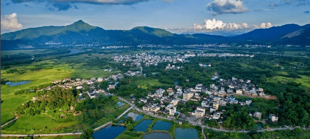 揭西县坪上镇:搭建智慧平台 赋能美丽乡村