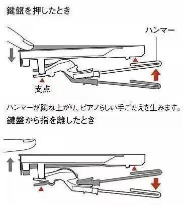 钢琴太贵能用电钢琴吗机械钢琴与电钢琴全揭秘