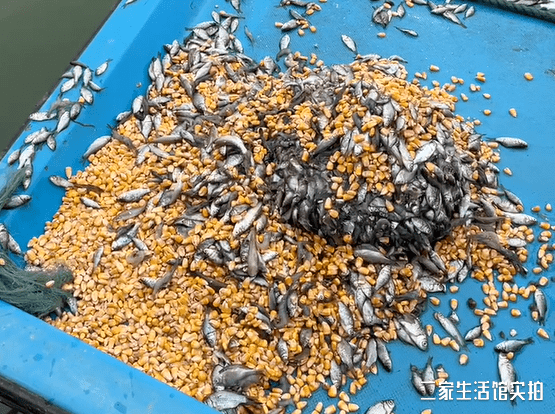本文照片仅作素材使用,不视为与图中人物建立任何商业合作关系,侵删.