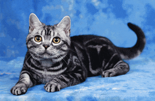 刚刚,阜阳一商场传出好消息.