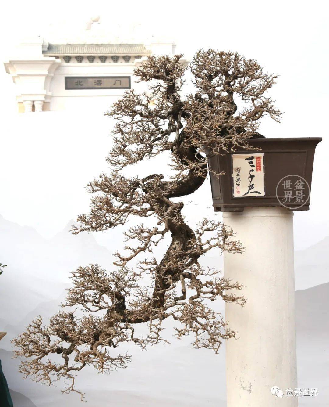 惊艳!一个县级展览展出了国展的气势与水准